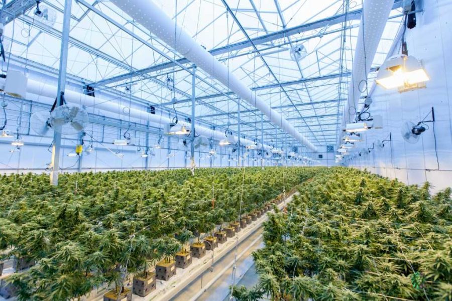 Learn how to get a cannabis real estate loan