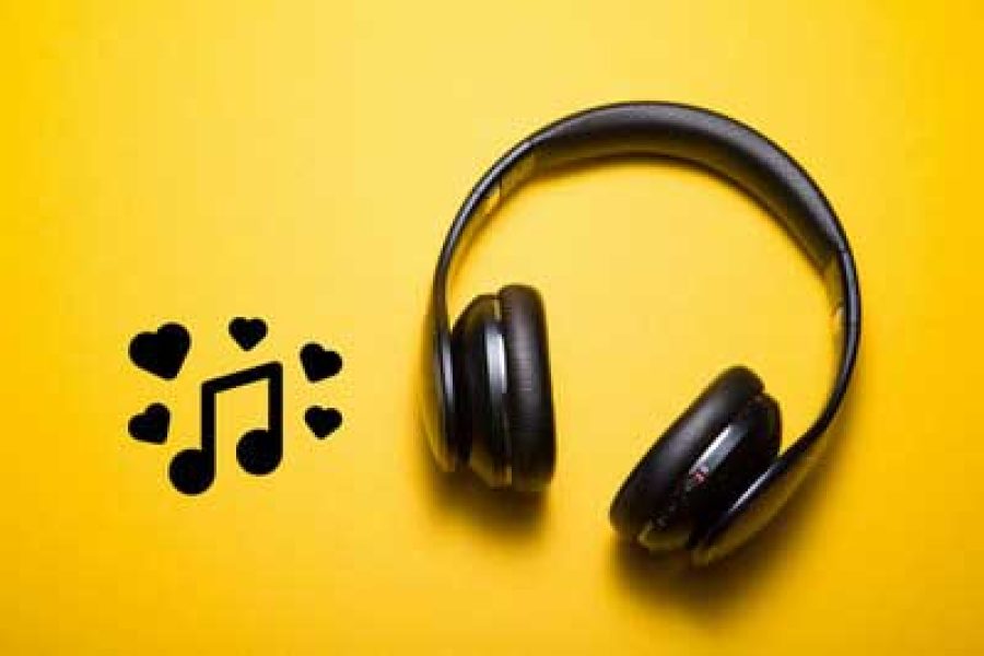 In Fakaza, you will have free access to the songs of your choice