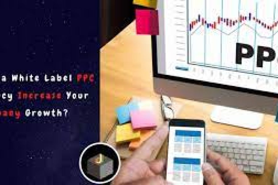 The track record of the white label ppc agencies
