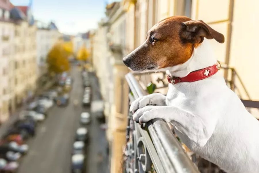 Holiday resort-Type Residing in Luxury Apartments: The Best of Both Worlds