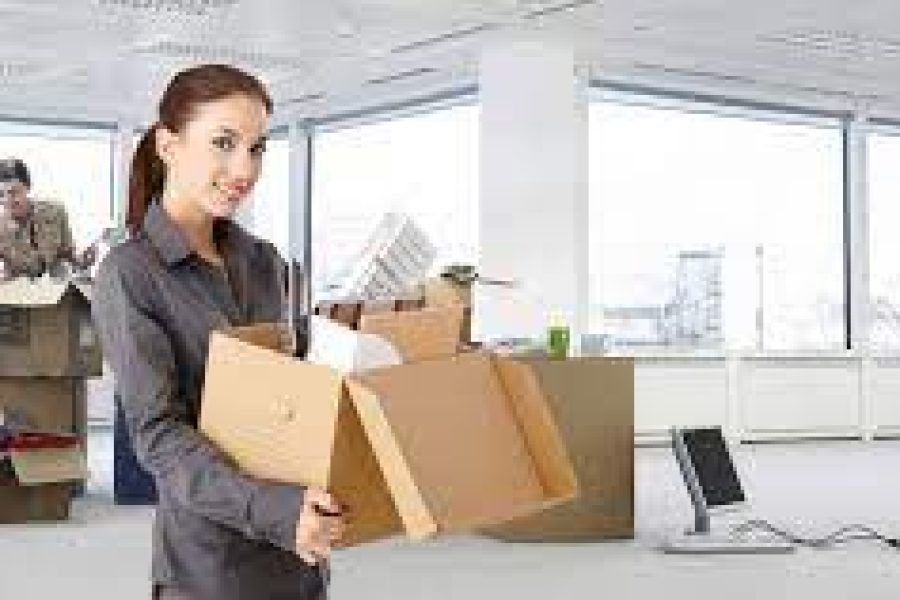 Why Employ a Professional Moving Company?