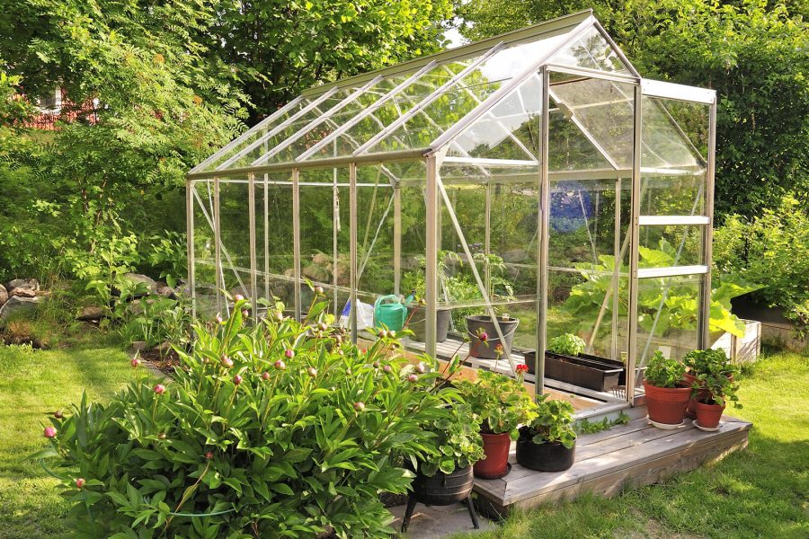 The Advantages And Disadvantages Of Expanding In A Greenhouse